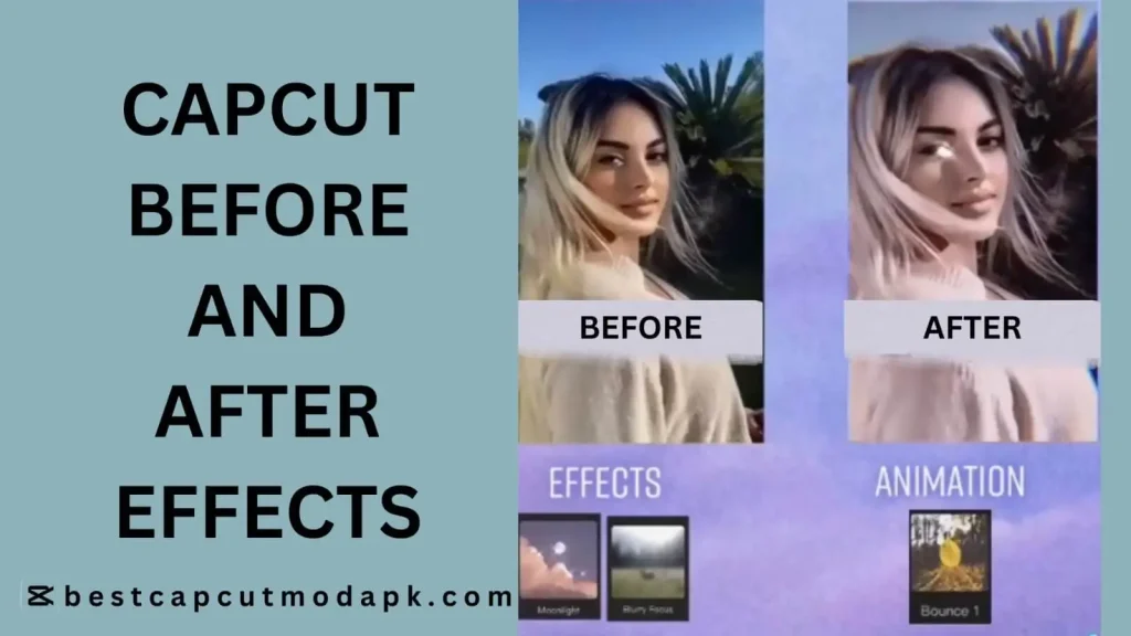 CapCut Mod Apk